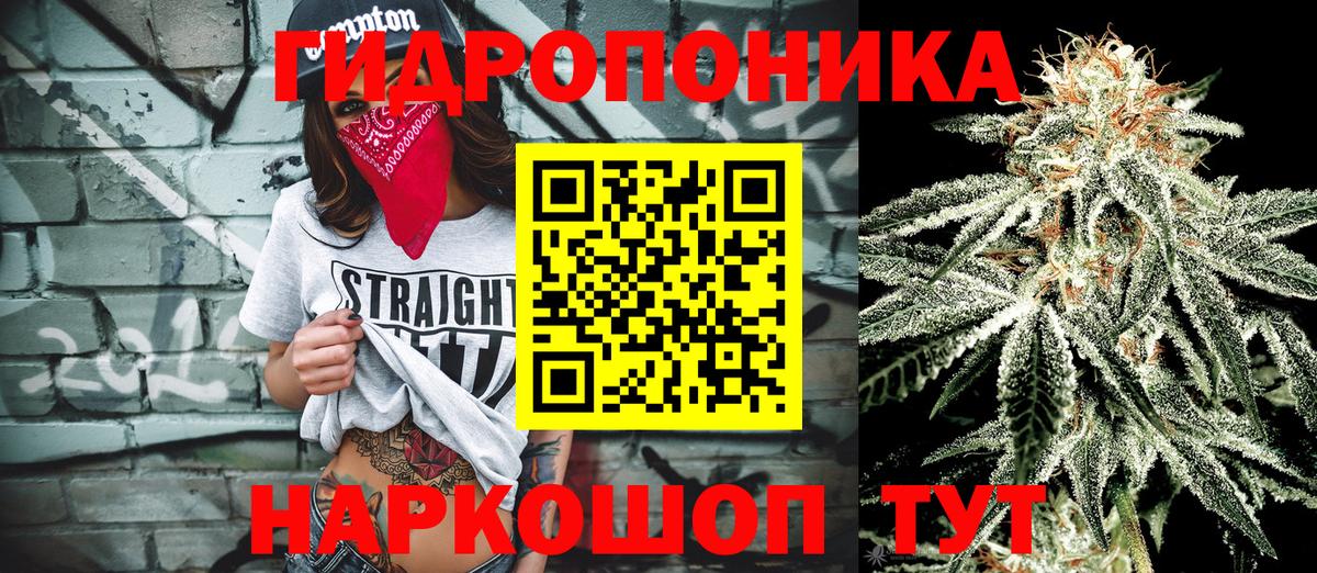 Канабис семена  Конопля Bruce Banner  Апатиты  Марихуана сатива  Вход с VPN 